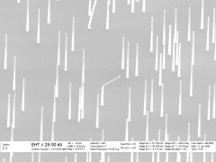 תמונת מיקרוסקופ אלקטרונים סורק של שכבת חוטי ננו. קישור למקור התמונה בתחתית המאמר