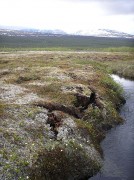 איזור Storflaket בשבדיה, מקום שבו כפור העד מפשיר. צילום: מתוך ויקיפדיה