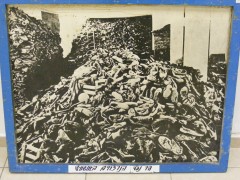 הר נעלי הנרצחים באושוויץ