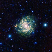 הגלקסיה הספיראלית IC 342. צילום: טלסקופ החלל WISE