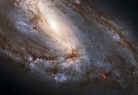 שלוש הגלקסיות המהוות את שלשית אריה בקבוצת אריה. צילום של טלסקופ החלל האבל המחודש, 2010. צילום: נאס"א/סוכנות החלל האירופית
