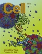 انطباع الفنان عن صورة الفيروس المائي كما تم حسابها بواسطة Cryo-EM 3-D