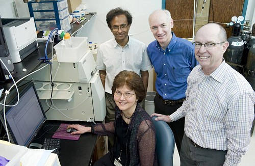 Prof. Lawrence Marnett, right, and his colleagues, Prof. Jashim Uddin, right, Prof. David Piston and Brenda Crews, research a compound that causes tumors to glow. Photography: Joe Howell