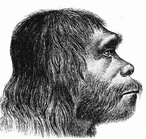 Neanderthal man - from Wikipedia, illustration from the 19th century Public domain image