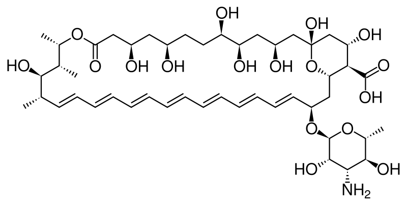 An example of polyene - Amphotericin B