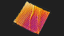 משטח תלת ממדי זה מדגים בקנה מידה ננומטרי את אותם אדוות וקפלים שמדגימות רשתות דייג בקנה מידה מקרוסקופי. צילום: אדם פיינברג, אוניברסיטת הרווארד.