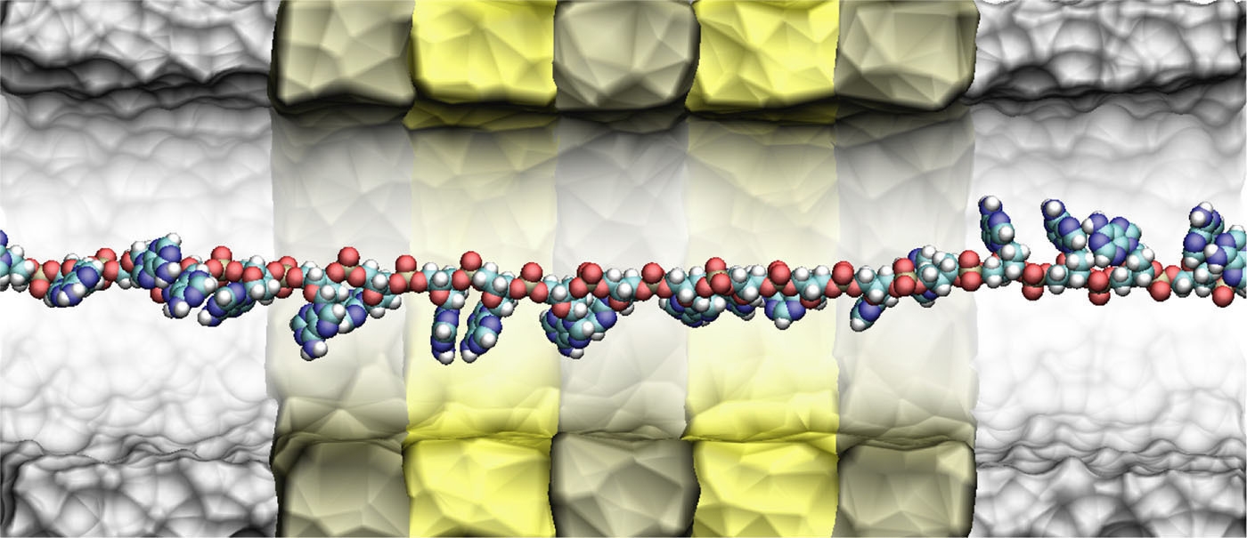 חלק מטרנזיסטור ה-DNA של יבמ בסימולציה במחשב-על Blue Gene של יבמ