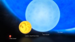 השוואת גדלם של כוכבים מסוגים שונים - ננס אדום, כוכב מסוגה של השמש, ננס כחול והכוכב שהתגלה כעת השוואת גדלם של כוכבים מסוגים שונים - ננס אדום, כוכב מסוגה של השמש, ננס כחול והכוכב שהתגלה כעת R136a1. איור: המצפה האירופי הדרומי ESO