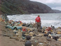 פסולת על חוף ים בהוואי. מתוך ויקיפדיה