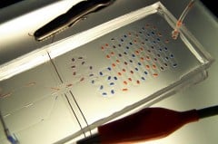 A chemical lab the size of a credit card. Photo: Polish Academy of Sciences