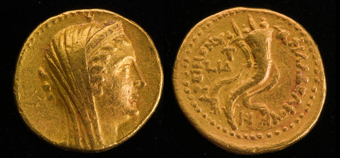 מטבע זהב שהוטבע על ידי תלמי החמישי ואשר התגלתה בצפון הארץ בשנת 2010מתאר מלכה – יתכן שאת ארסינואה השנייה, אשר התחתנה עם אחיה תלמי השני . צילום: רשות העתיקות