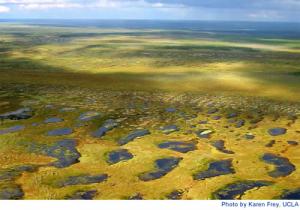 An area where a lake in Siberia disappeared. Photo: UCLA