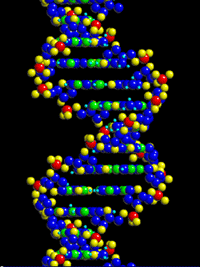 גנום האדם כולו מכיל יותר מ -20,000 גנים. אשראי איור: NIH