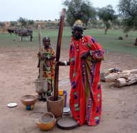 אוכלים טוב. נשים בכפר Hondo Tchiri שב Burkina Faso מכינות דוחן קילו, גרגר עתיר סיבים המהווה מרכיב במנות רבות. קרדיט: מרקו שמידט