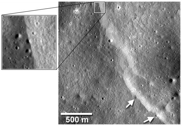 מדרונות תנוך במכתש Mandel'shtam על הירח. המדרונות קטעו מכתשי פגיעה קטנים. צילום: החללית LRO של נאס"א