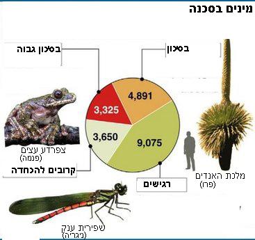 species facing extinction. Illustration: Assaf Rosenthal