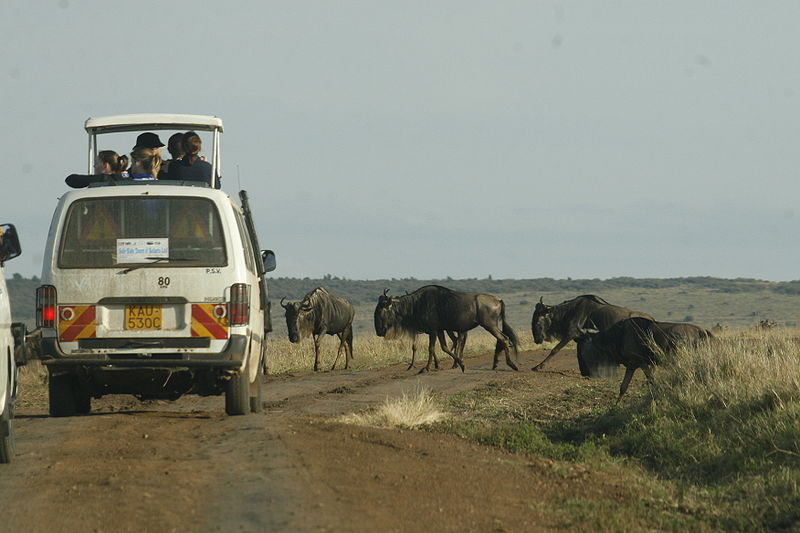 Tourists on safari in Kenya. From Wikipedia