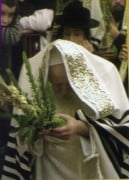 מנהגים יהודיים דתיים - ארבעת המינים. תמונה חופשית, קרן ויקימדיה