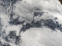 כוורת חוזרת. מערכת מאורגנת דמוית כוורת של עננים מעל חופי פרו. צילום לוויין באדיבות נאס"א