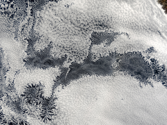 Hive returns. An organized beehive-like system of clouds over the coast of Peru. Satellite photo courtesy of NASA