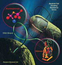 Bacterial resistance to antibiotics. Illustration: national review of medicine