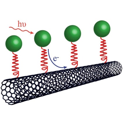 תיאור סכמאטי של ננו-היבריד: אוליגונוקליאוטידים (באדום) מתווכים את התגובה בין ננו-צינורות הפחמן (בשחור) לבין הכרומופורים (בירוק).  