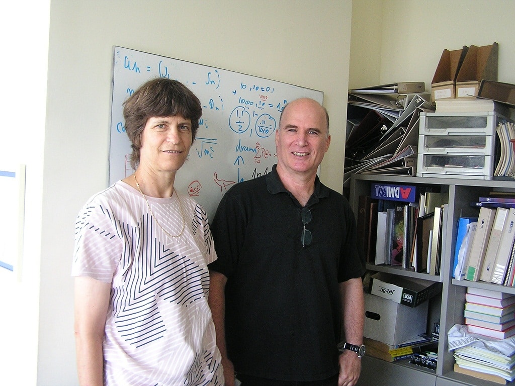 David Carmel and Dafna Shinwald, researchers at the IBM research laboratory in Haifa