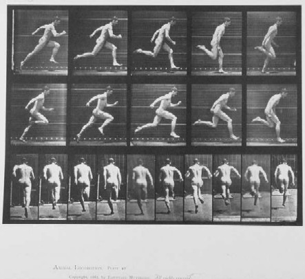 الرجل الراكض، عمل فوتوغرافي لإدوارد مويبريدجز. من ويكيبيديا