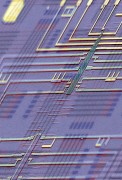 עיבוד צבעוני של תמונת מיקרוסקופ אלקטרונים סורק של ננו-מעבד ניתן לתכנות המונח על ארכיטקטורה סכמטית של מעגל ננו-מעבדים