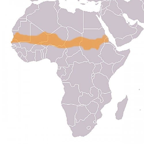 The Sahel region on the map of Africa. From Wikipedia