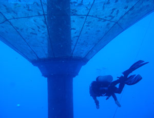 A diver at the bottom of the Kona Blue Water Farms fish farm in Hawaii
