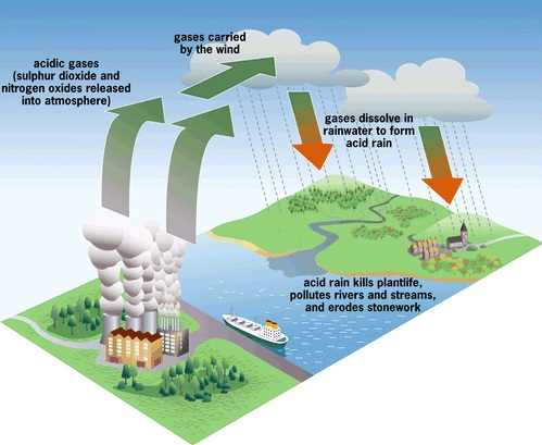 Creating acid rain: Acidic gases (sulfur dioxide and nitrogen oxides) are emitted from factories and vehicles into the atmosphere, where they are carried by the wind until they reach clouds or water-rich fog. The gases then dissolve in water and produce acid rain that destroys vegetation and pollutes rivers. And the lakes and crumbled stone buildings.