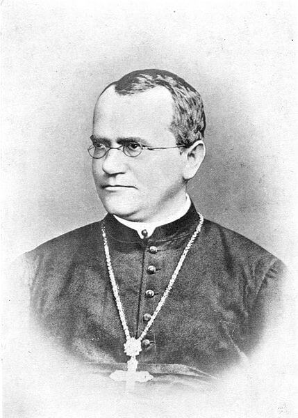 Gregor Mendel. From Wikipedia