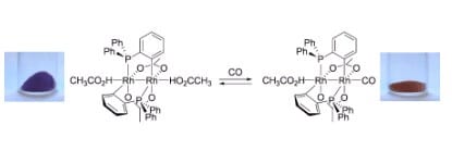 The presence of the carbon monoxide gas can be selectively detected during its reaction with a rhodium conjugate that changes its color from purple to yellow-orange