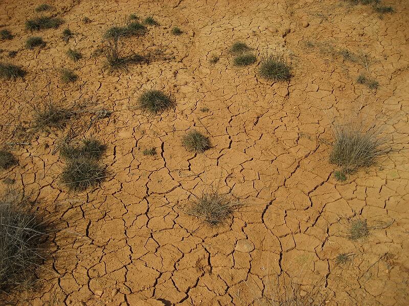 الأراضي الجافة في الجفاف. الصورة: من ويكيبيديا