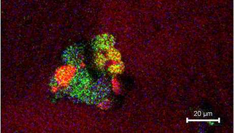 הדמיית תנועת מולקולות בתא. צילום: אוניברסיטת גוטבורג, שוודיה