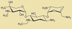 תרכובת ה-netilmicin (מתוך וויקיפדיה).