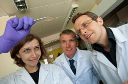 צוות חוקרים באוניברסיטת וורוויק בבריטניה שגילו דרך לייצר תאי שמש אורגניים