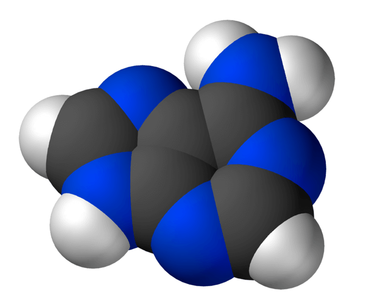 הדמייה תלת ממדית של מולקולת האדנין. מתוך ויקיפדיה