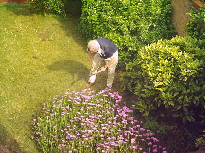 gardening. From Wikipedia