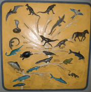 האבולוציה של החוליתנים. מיצג במוזיאון המלכותי של אונטריו, קנדה. מתוך ויקיפדיה