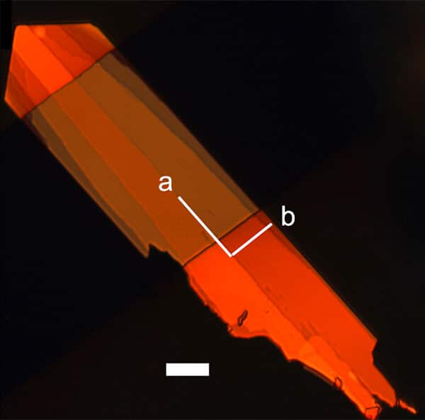 A single crystal of an organic semiconductor material in polarized light. It is twice as fast as the organic material from which it is derived. The length of the white lines used as a scale - 10 microns