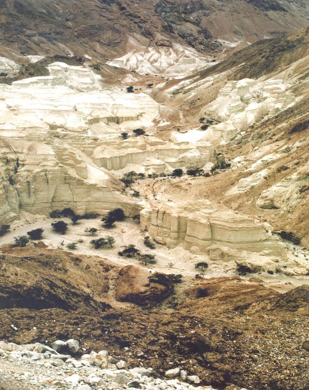Desert landscape. Photo: Prof. Zvi Dubinsky, Bar-Ilan University