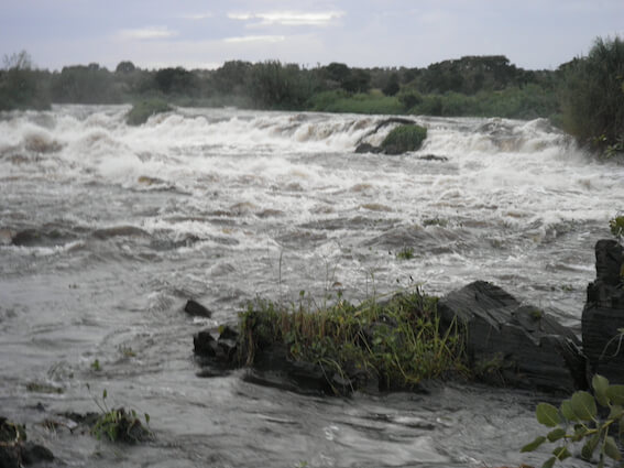 The White Nile Falls in South Sudan. Photo: Dr. Assaf Rosenthal