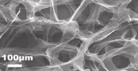 Graphene foam. Rensselaer Institute of Technology in New York State