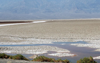 Death Valley in Nevada, the place where the magnetic bacteria were found. Credit: Dennis Bazylinski and Christopher LefèvreDeath Valley in Nevada, the place where the magnetic bacteria were found. Credit: Dennis Bazylinski and Christopher Lefèvre