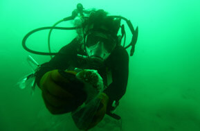 חוקר שצולל בים המלח. צילום: courtesy Dr. Manfred Sclosser, Max Plank Institute
