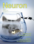 שער כתב העת Neuron מפברואר 2012, ובו מאמר של חוקרים ממכון ויצמן על תפקוד הגוף במצבי לחץ