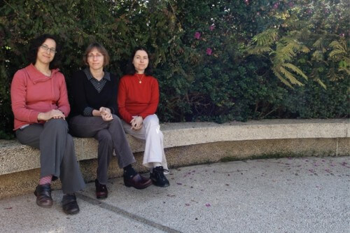 From the right: Dr. Dana Gantz, Dr. Lilach Gilboa and Tamar Langil. coordination. Photo: Weizmann Institute