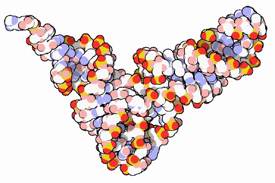 מולקולת TNA. מועמדת כחלופה ל-RNA בחיים הקדם תאיים